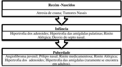 Figura 2 - Esquema ilustrativo das causas da obstrução nasal consequente  da respiração bucal segundo a faixa etária