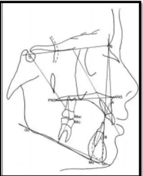 Figura 7. Rastreamento ilustrando marcos anatômicos,  pontos, linhas e ângulos. Adaptado Faria, P