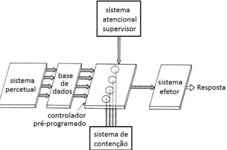 Figura 4. Modelo do Sistema Atencional Supervisor de Norman e Shallice (1986) (adaptado de  http://www.vernon.eu/euCognition/cognition_briefing_control_of_action.htm) 