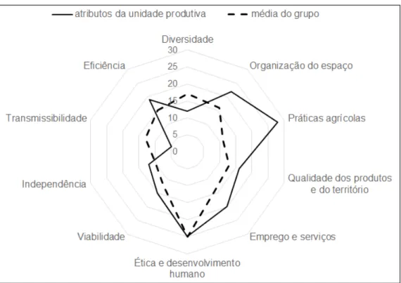 Figura 1: Exemplo de apresentação de resultados do IDEA (gráfico radar)