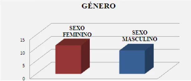 Gráfico nº 2 – Género 