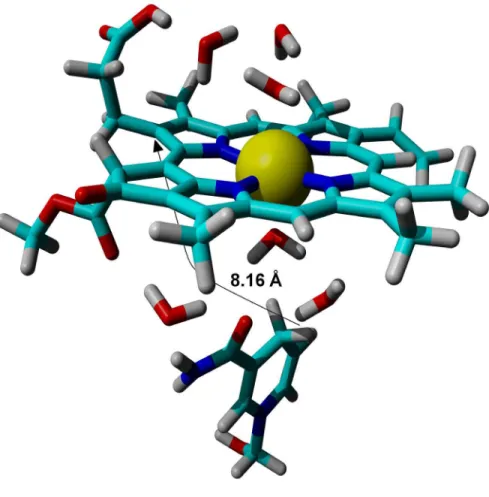 Fig. 2: Optimized structure of the reactants in the light-dependent PChOR-catalyzed reaction