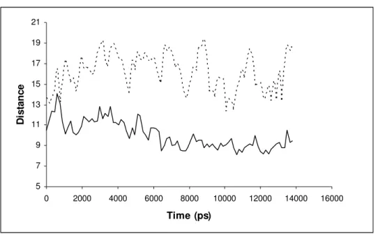 Figure 3: Distances between the termini of helixes H2 and H8 in the substrate-bearing chain of  coproporphyrinogen III oxidase (Binding mode VI)