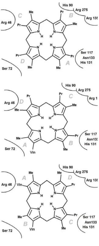 Figure 5: Detailed view of binding mode VIII. Panels A-C (wild-type-protein) are related to each other  through sequential  ≈ 90º rotations around the vertical axis