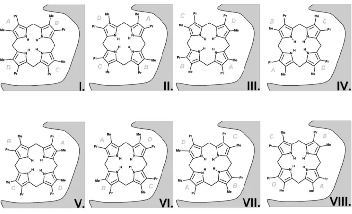 Figure 2: The eight possible substrate orientations in coporporphyrinogen III oxidase active site  cavity