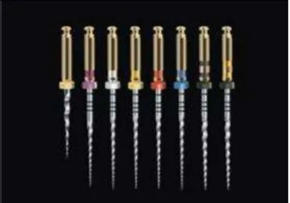 Figura 13: Limas do sistema ProTaper (Ruddle, 2005) 