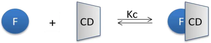 Figura 5 - Formação de um complexo de inclusão de um fármaco com uma ciclodextrina 1:1