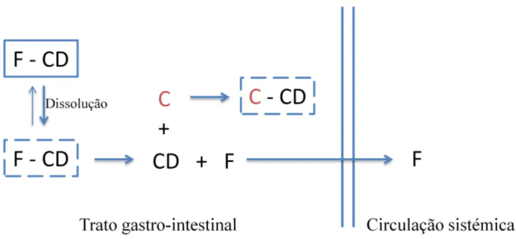 Figura 11 - Esquema ilustrativo da absorção gastrointestinal de um fármaco (F) em complexo com uma  CD, na presença de uma substância competitiva (C)