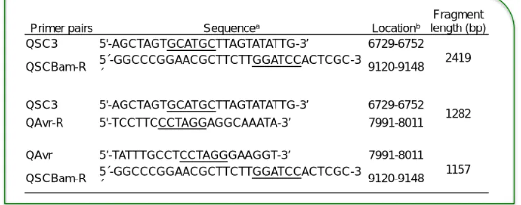 Tabela  2.  Sequência  e  localização dos pares de primers utilizados para a amplificação do  gene env