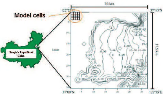 Figure 3. Sungo bay location. The insertion on the upper left corner shows part of the model grid  (500 m squares) used to represent spatial details.