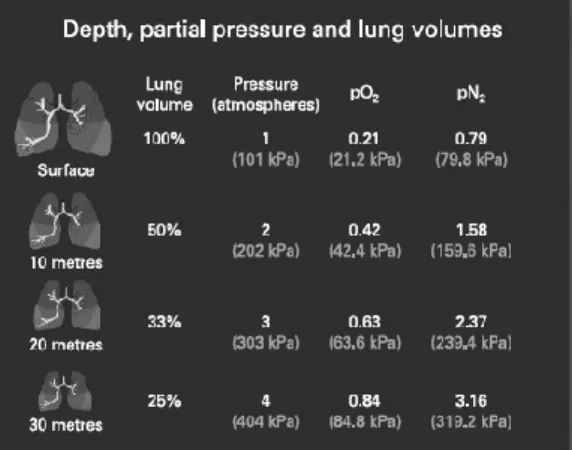 Figura 1 – Variação de volume, pressão atmosférica e  pressões parciais de gases com a profundidade [16] 