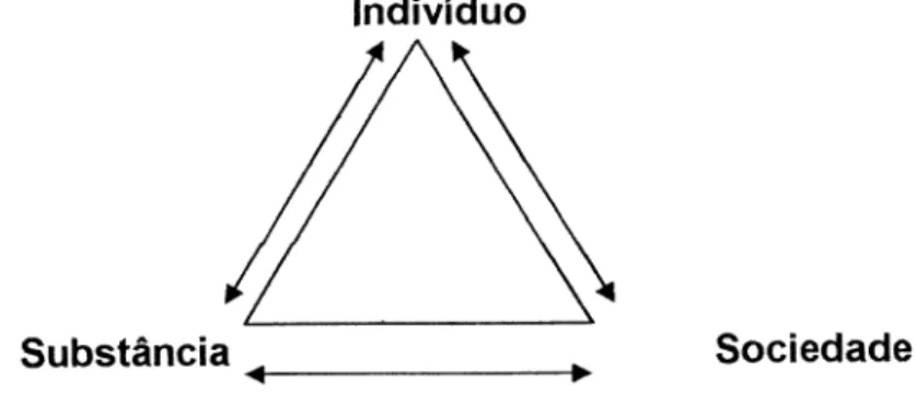 Figura  1  -  Relação  indivíduo,  substância  e  sociedade