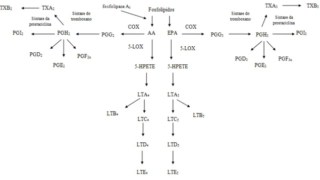 Figura 7. Resumo da formação de eicosanóides pelo AA e pelo EPA. 