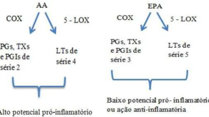 Figura 8. Visão geral da síntese e ação dos mediadores lipídicos produzidos pelo AA e EPA