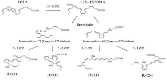Figura  11.  Biossíntese  das  resolvinas  da  série  D.  O  DHA  é  convertido  no  intermediário  17S-HPDHA,  com a sua subsequente conversão enzimática na série RvD1 a D4