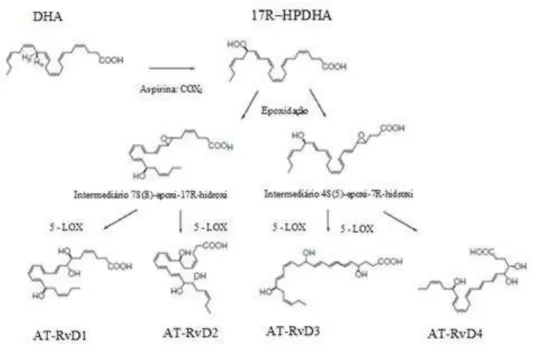 Figura  12. Biossíntese  das resolvinas da  série  D. O  DHA  é  convertido no intermediário, 17R-HPDHA,  com a sua subsequente conversão enzimática na série AT-RvD1 a D4