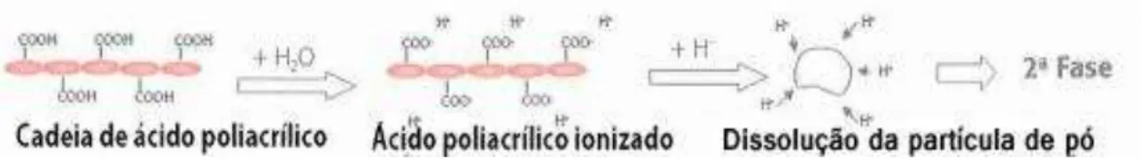 Figura 5  –  Deslocamento de iões e ionização do ácido poliacrílico 
