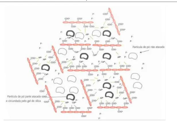 Figura 9 – Esquematização química da matriz final 