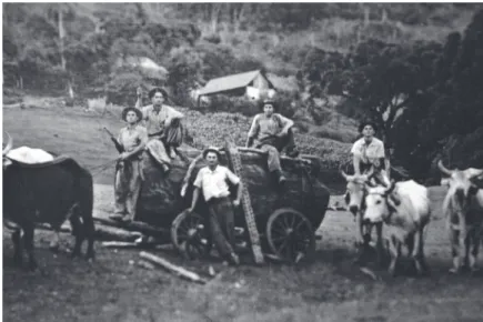 Figura 3.  Colonos alemães carregam tronco na antiga colônia de Venâncio Aires, no início do século XX