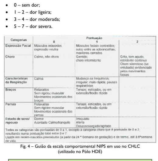 Fig. 4 – Guião da escala comportamental NIPS em uso no CHLC  (utilizado no Pólo HDE) 