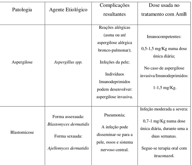 Tabela Nº 2: Aplicações da AmB*  