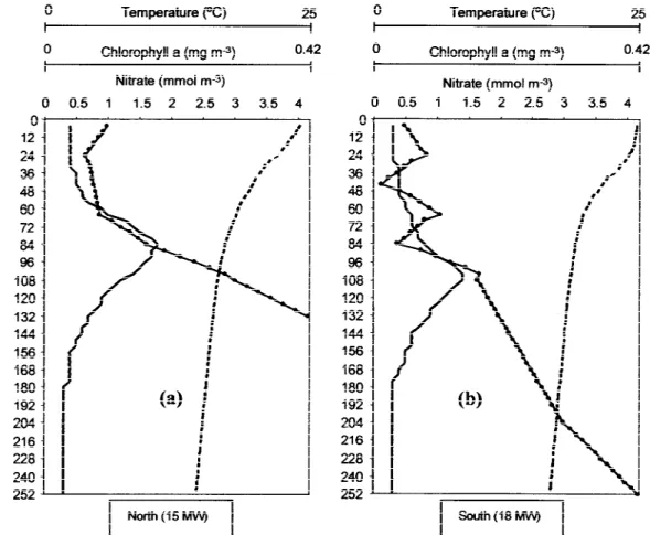 Figure 10. Vertical profiles of the model initial values for 15 MW (a) and 18 MW (b): temperature (broken line), nitrate concentration (solid line with circles) and Chl a concentration (solid line).