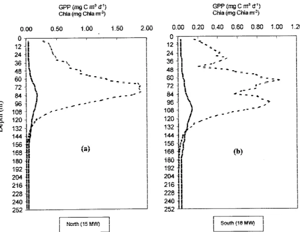 Figure 11. Vertical profiles of daily average gross primary production (GPP) (broken line) and its relation with the Chl a profile (solid line) for 15 MW (a) and 18 MW (b)