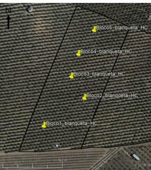 Figura 3 - Localização dos blocos da variedade ‘Blanqueta’ na Herdade de Castros (adaptado  de Google Earth, 2018) 
