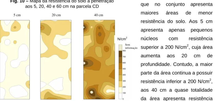 Fig. 10 – Mapa da resistência do solo à penetração   aos 5, 20, 40 e 60 cm na parcela CD  N/cm 220 cm 40 cm 5 cm  Sem  informação 