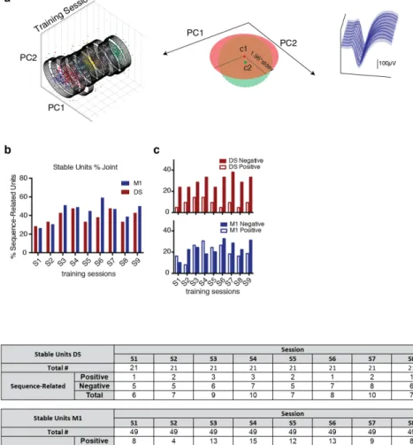 Figure  2.6  |  Stable  cells  and  sequence-related  modulations.  (a)  Illustration  of  an  example stable cell, with cluster projection using PCA across the training sessions (left),  diagram  illustrating  the  criteria  for  stability  of  cells  acr
