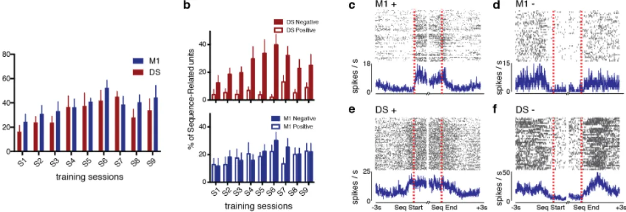 Figure 2.7 | Emergence of sequence-related activity with training. (a) Percentage of  sequence-related  units  for  both  M1  and  DS  across  training  sessions