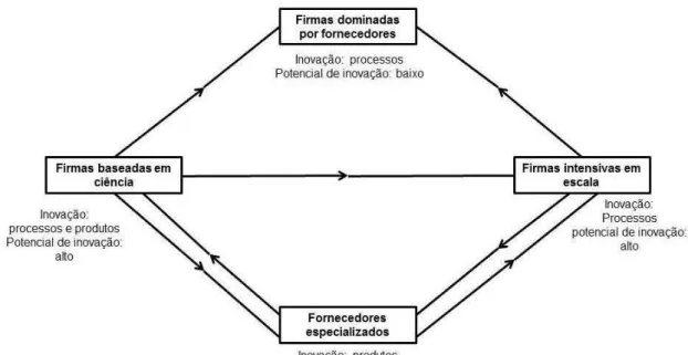 Figura 1 - Conexões entre diferentes categorias de firmas em um setor 