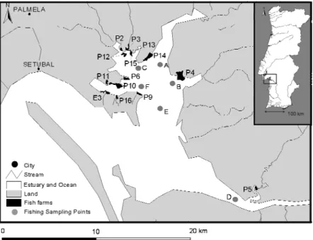 Figure III.3.1- Surveyed fish farms and fishing sampling sites River Sado estuary: fish farms  are identified with codes for purposes of comparison with the socio-economic approach