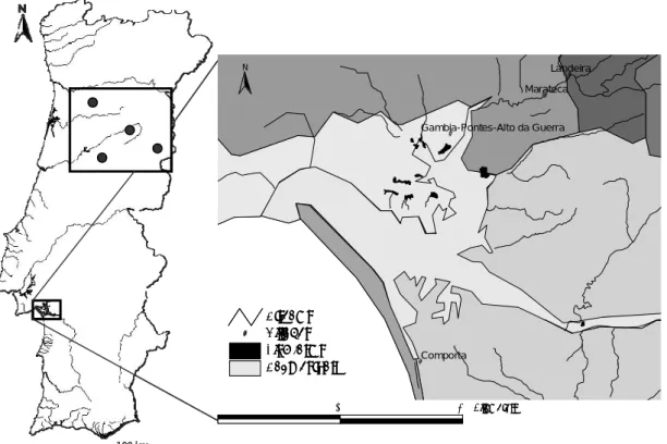 Figure III.2.1 - Location of the marine fish farms at the river Sado estuary (–) and of the trout  farms (●) in central Portugal