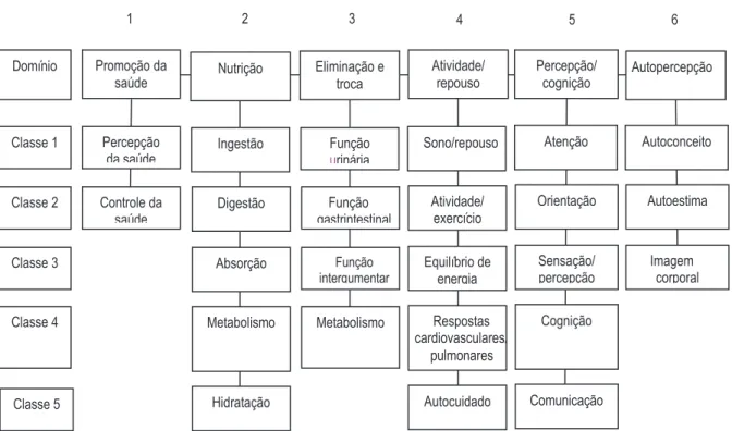 Figura 1 - Domínios e classes da Taxonomia II da NANDA-I.  