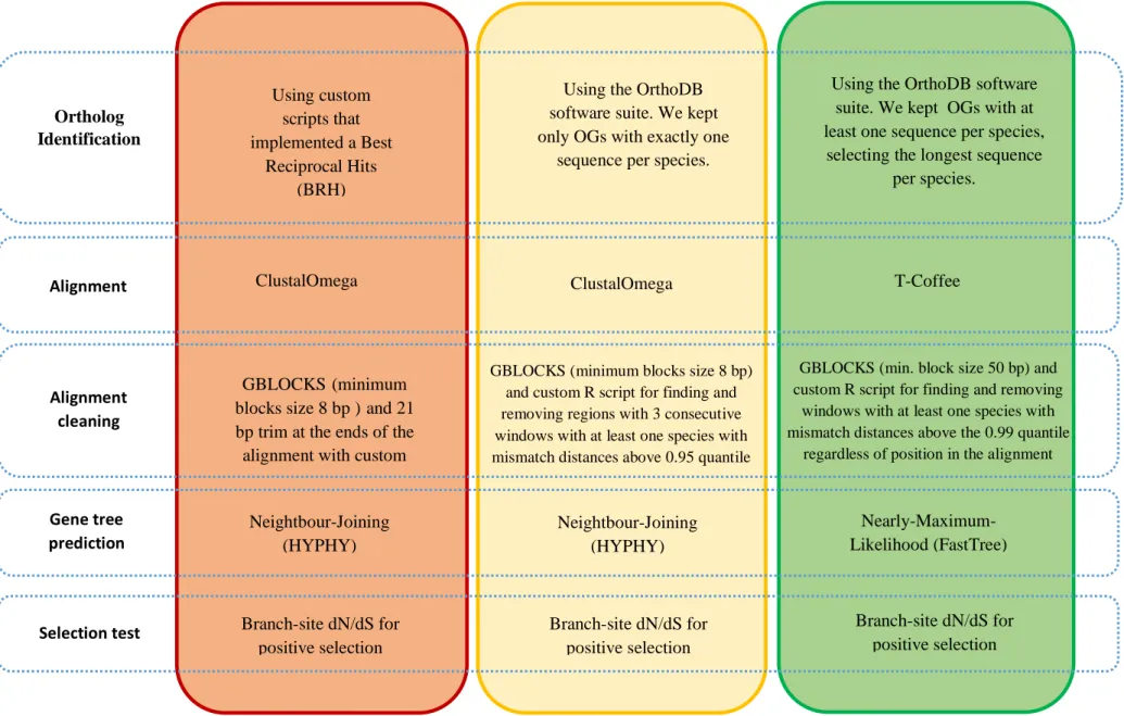 Figure 2 .1  (Cont .)  -  Summary  of t he mai n differences  b et ween t he t hree b io informat ic p ip elin es  dev elop ed durin g t his  st udy t o get  O G  alignment s  an d t est  t hem for  s elect ion