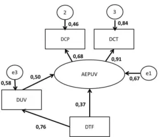 Figura  2:  Representação  gráfica  do  modelo  teórico  sobre  o  domínio  do  conhecimento  da  AEPUV