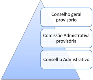 Figura 1 – Hierarquia dos órgão de 