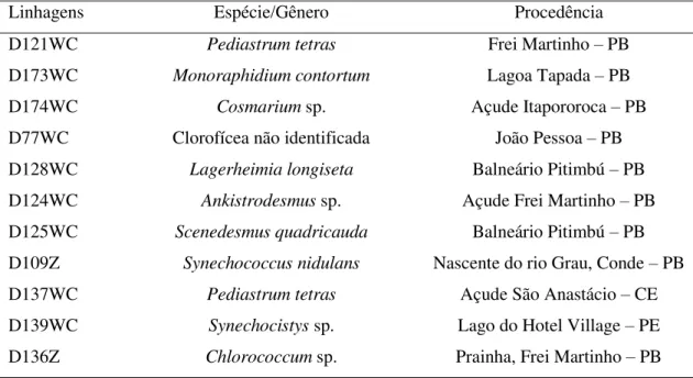 Tabela 4.1. Espécies de microalgas selecionadas para a determinação do teor de ácidos graxos