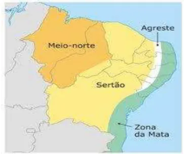 FIGURA 8 Mapa Região Nordeste - Mesorregiões 