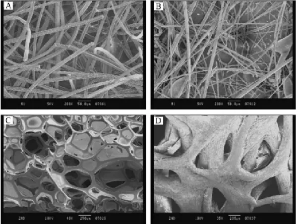 Figura 10: Fotos obtidas por MEV dos materiais suportes. (a) filtro de carbono, (b) lã  de rocha, (c) espuma de poliuretano e (d) bucha vegetal (Yang, 2004)