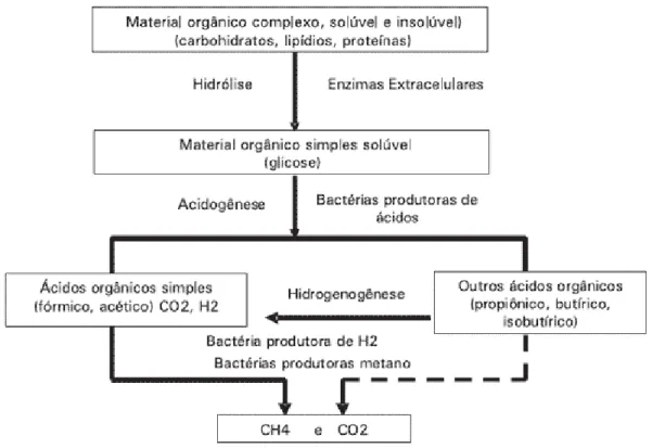 Figura 11: Rotas metabólicas e grupos microbianos envolvidos na digestão anaeróbia. 