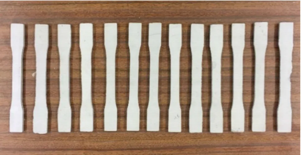 Figura 3.32 – Fotografia dos provestes moldados em forma de “osso de cão” para a resina Sikadur-30® 