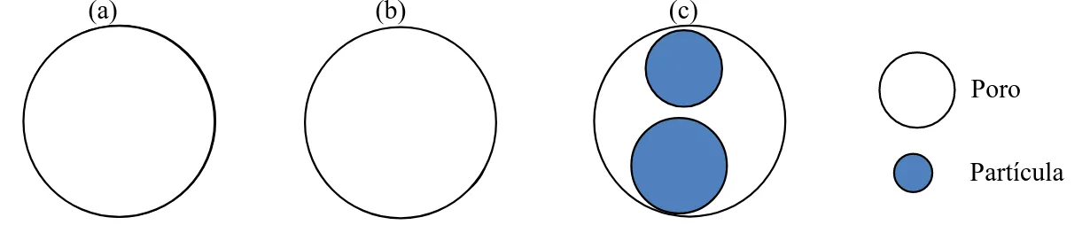 Figura 1 - Partículas com área de projeção igual ou inferior à área de projeção do poro podem penetrá- penetrá-lo 