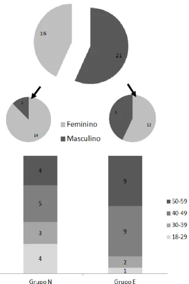 Figura 2 – Caracterização dos voluntários por IMC (N &lt; 25,0; E ≥ 25,0), género e faixa etária 