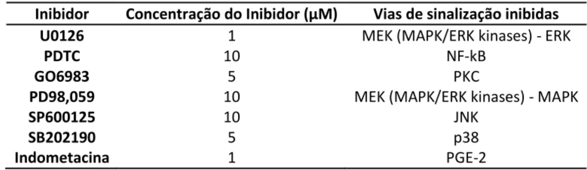Tabela 3. Inibidores testados com suas respetivas concentrações e vias de sinalização inibidas