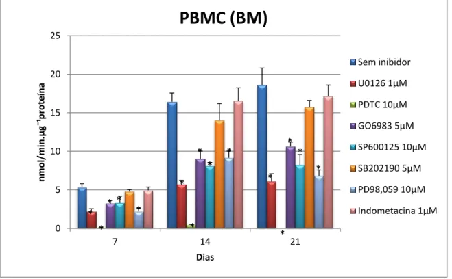 Figura 18. Atividade da TRAP normalizada com o conteúdo proteico em PBMC (BM) durante 7, 14 e 21  dias; * significativamente diferente do controlo