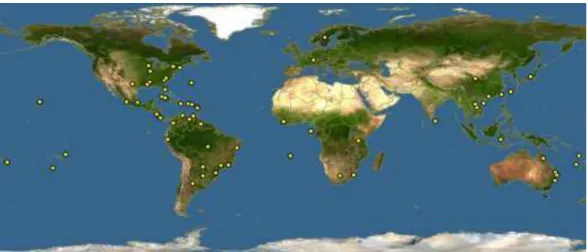 Figura 3: Distribuição global de Solanum capsicoides All. 