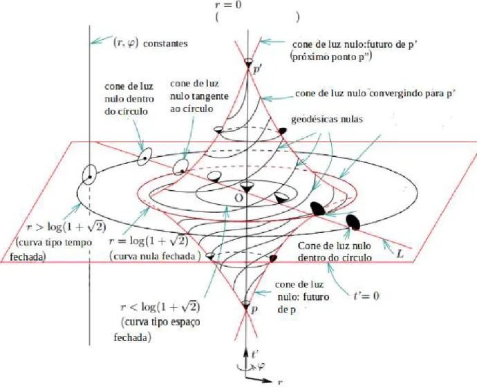 Figura 3.1: Mostra o universo de G¨odel em termos das coordenadas (t ′ , r, φ), a coordenada z ′ ´e suprimida j´a que a mesma gera geod´esicas triviais