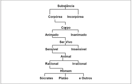 Figura 6: Árvore de Porfírio. 